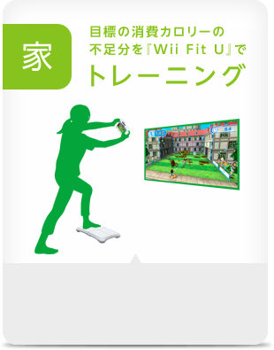 ƁFڕW̏J[̕swWii Fit UxŃg[jO