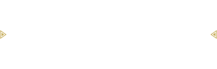 amiibo「ウルフリンク」