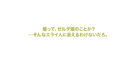 姫って、ゼルダ姫のことか？…そんなエライ人に会えるわけないだろ。