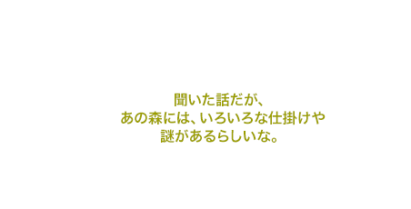 聞いた話だが、あの森には、いろいろな仕掛けや謎があるらしいな。