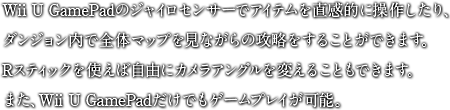 Wii U GamePadのジャイロセンサーでアイテムを直感的に操作したり、ダンジョン内で全体マップを見ながらの攻略をすることができます。Rスティックを使えば自由にカメラアングルを変えることもできます。また、Wii U GamePadだけでもゲームプレイが可能。