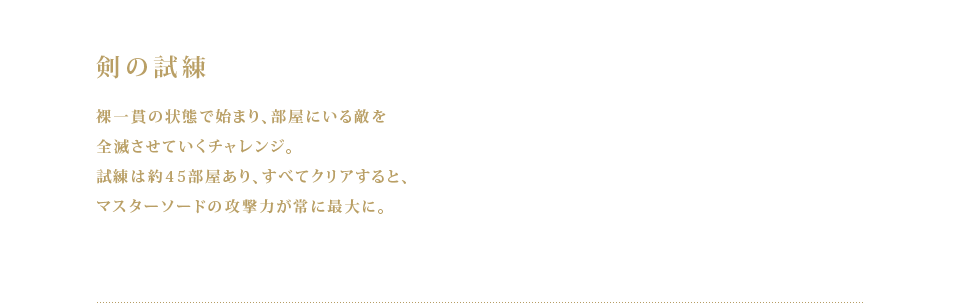 剣の試練 裸一貫の状態で始まり、部屋にいる敵を全滅させていくチャレンジ。試練は約45部屋あり、すべてクリアすると、マスターソードの攻撃力が常に最大に。